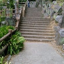 展望台までの山道