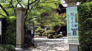 松阪の資料を展示しています。