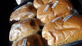 ＧＷ中日でも…