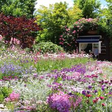 シーズンガーデン