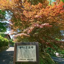 正法寺(藤の寺)