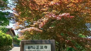 正法寺(藤の寺)