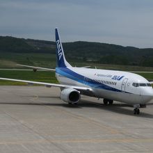 東京からやってきたANAの飛行機