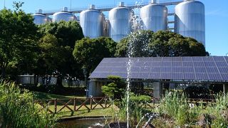 ビール3本まで試飲できます