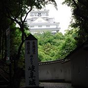 金華山にそびえる岐阜城