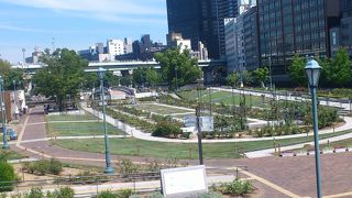 中之島公園の東側にあるバラ園