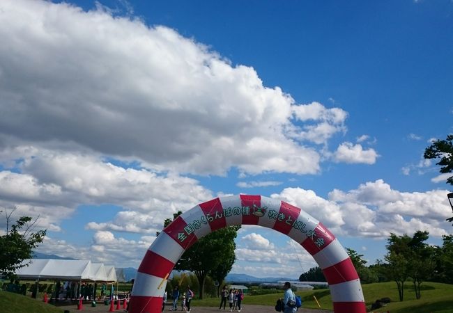 寒河江さくらんぼ祭り