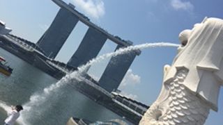 予想以上に小さかった