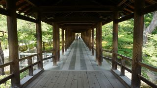 秋はさぞかし紅葉が綺麗