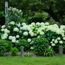 これは数年前のものです。