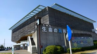 蒲郡市生命の海科学館