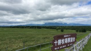 広い牧場のような場所