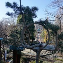 正面奥に弁天堂が見える。