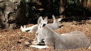 半日は滞在できるかも。