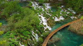 癒されましたぁ