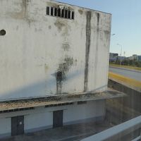 窓を開けたらビックリの眺め