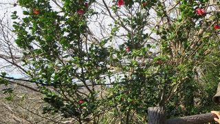 東京都の補助で行きました