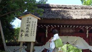 深大寺の入り口
