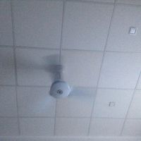 この時期にエアコンがなくてもこれがあれば快適