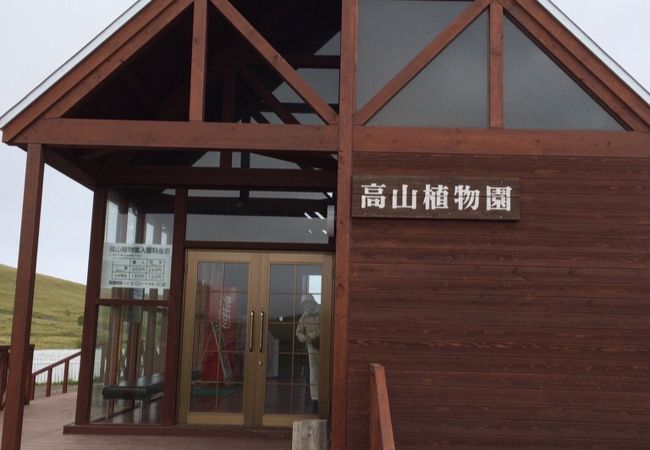 礼文町高山植物園 クチコミ アクセス 営業時間 礼文島 フォートラベル 礼文町高山植物園 クチコミ アクセス 営業時間 礼文島 フォートラベル