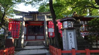 華やかな印象。