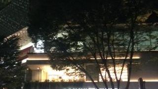 緑が多いスポット