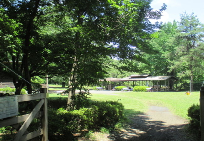 智光山公園野外活動広場