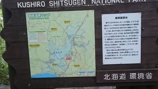 ただただ、驚きます。