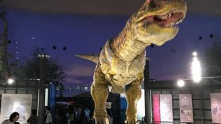大人が楽しいかも！恐竜博物館@福井