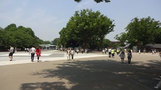 １年通して通っています