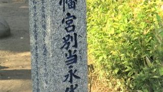 野球広場とを仕切る金網の近くにあります。