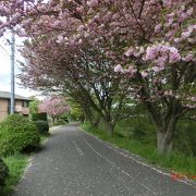 下津井駅から茶屋町駅駅までサイクリングしました