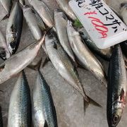 野菜も魚も安い！海の駅・道の駅