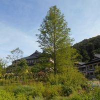 庭園から見た旅館