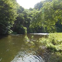 旅館横を流れる川