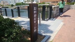 水辺の公園