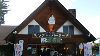 大人も楽しめます☆