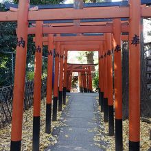 鳥居の赤といちょうの黄。