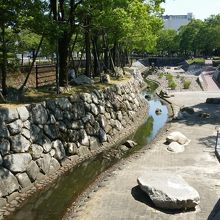 水遊びできそう