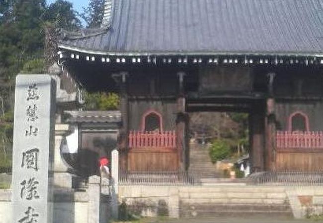 西舞鶴駅近くの見どころが多いお寺です