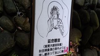 延命観音菩薩奉納