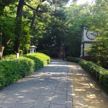 木々に囲まれていい風景です