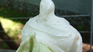 野菜ジェラートを味わう