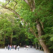 内宮の中の道