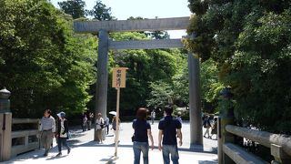 もの凄い「気」を感じる