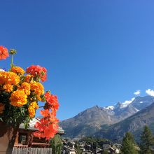空と花のコントラストが綺麗でした。