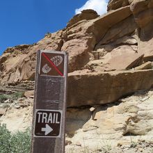 ウナ・ビダトレイル