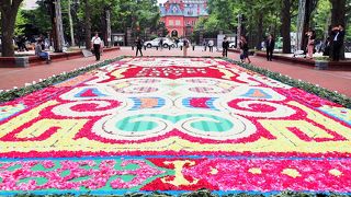 サッポロフラワーカーペット2017が始まりました。