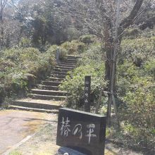 生命力で成長します