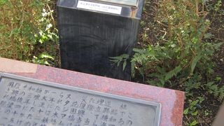 こんなかたちで残されているなんて浪漫を感じます。